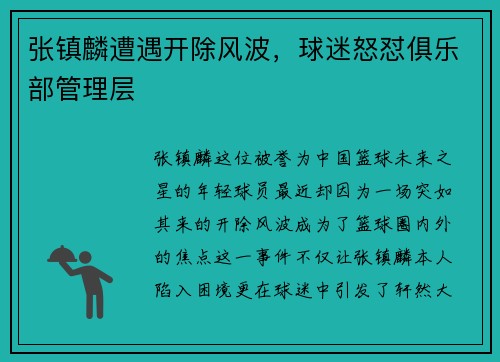张镇麟遭遇开除风波，球迷怒怼俱乐部管理层